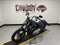 2025 Harley-Davidson Softail FXBB - Street Bob