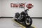 2026 Harley-Davidson Softail FXBB - Street Bob