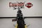 2025 Harley-Davidson Softail FXBB - Street Bob
