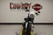 2026 Harley-Davidson FXLRS - Low Rider S Base