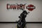 2026 Harley-Davidson FXLRS - Low Rider S Base