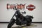 2026 Harley-Davidson FXLRS - Low Rider S Base