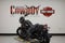 2026 Harley-Davidson FXLRS - Low Rider S Base