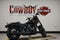 2026 Harley-Davidson FXLRS - Low Rider S Base