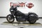 2023 Harley-Davidson FXLRST - Low Rider ST Base