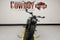 2024 Harley-Davidson Sportster RH1250S - S