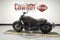 2021 Harley-Davidson Sportster RH1250S - S