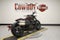 2021 Harley-Davidson Sportster RH1250S - S