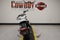 2021 Harley-Davidson Sportster RH1250S - S