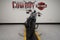 2021 Harley-Davidson Sportster XL883N - Iron 883