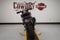 2026 Harley-Davidson Pan America RA1250S - 1250 Special