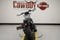 2026 Harley-Davidson RH975S - Nightster Special Base