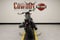 2026 Harley-Davidson Sportster RH975S - Nightster Special