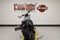 2026 Harley-Davidson Sportster RH975S - Nightster Special