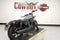 2026 Harley-Davidson Sportster RH975 - Nightster