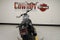 2026 Harley-Davidson Sportster RH975 - Nightster