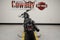 2026 Harley-Davidson Sportster RH975 - Nightster