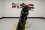2025 Harley-Davidson Pan America RA1250ST - 1250 ST