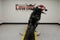 2026 Harley-Davidson Pan America 1250 ST