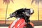 2026 Harley-Davidson Street Glide FLHXL - Limited