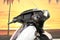 2025 Harley-Davidson FLHXU - Street Glide Ultra Base