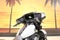2025 Harley-Davidson Street Glide FLHXU - Ultra