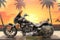 2013 Harley-Davidson Softail FXSB - Breakout