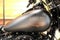 2026 Harley-Davidson Softail FLHD - Deadwood