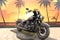 2026 Harley-Davidson Softail FLHD - Deadwood