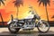2007 Harley-Davidson Sportster XL1200C - 1200 Custom