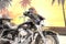 2011 Harley-Davidson Touring FLHTC - Electra Glide Classic