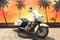 2019 Harley-Davidson FLHTP - Police Electra Glide Base