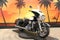 2024 Harley-Davidson FLHTP Base