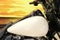 2024 Harley-Davidson FLHTP Base