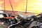 2024 Harley-Davidson FLHTP Base