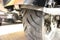 2006 Harley-Davidson FLHRS - Road King Custom Base