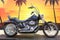 2009 Harley-Davidson Softail FXSTC - Custom
