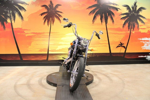 2009 Harley-Davidson Softail FXSTC - Custom