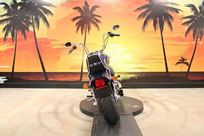 2009 Harley-Davidson Softail FXSTC - Custom