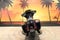 2025 Harley-Davidson FLHX - Street Glide Base