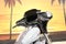 2026 Harley-Davidson Street Glide FLHX