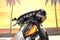 2024 Harley-Davidson FLHTK - Ultra Limited Base