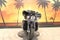 2023 Harley-Davidson FLHTK - Ultra Limited Base