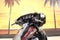 2022 Harley-Davidson FLHTK - Ultra Limited Base