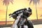 2015 Harley-Davidson FLHTK - Ultra Limited Base