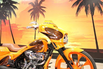 2014 Harley-Davidson Street Glide FLHXS - Special