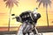 2021 Harley-Davidson FLHXS - Street Glide Special Base