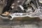 2021 Harley-Davidson FLHXS - Street Glide Special Base