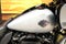 2023 Harley-Davidson FLTRXS - Road Glide Special Base