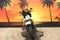 2018 Harley-Davidson XL1200NS - Sportster Iron 1200 Base